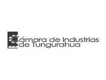 logo 11