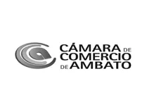 logo 12